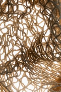 Kaboompics - Backlit Brown Woven Mesh Macro Texture