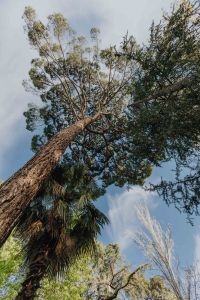 Kaboompics - The Buen Retiro Park in Madrid, Spain