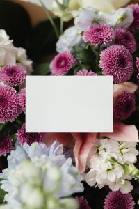 Kaboompics - Horizontal Blank Card Mockup among Purple Chrysanthemums and White Flowers