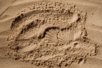 Kaboompics - Footprint Pattern in Wet Sand