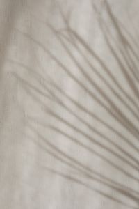 Kaboompics - Long Grass Shadows Across Neutral Linen