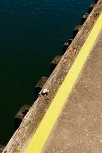 Kaboompics - Yellow Harbor Safety Line Along Wooden Pier