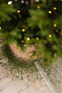 Kaboompics - Red and White Christmas Gift with Soft Tree Bokeh