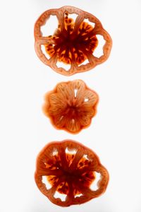 Kaboompics - Tomato Slices on White Background