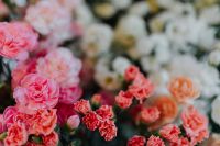 Kaboompics - Various multicolored fresh flowers (carnations)