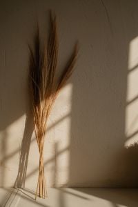Kaboompics - Dried Grass Bundle in a Sunlit Neutral Interior