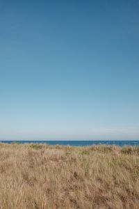 Kaboompics - Coastal Sea Behind Dry Dune Grass