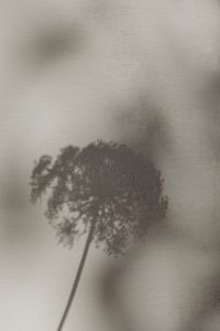 Kaboompics - Bright and warm free backgrounds or wallpapers