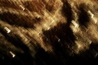 Kaboompics - Diagonal Golden Light Streaks and Grain on Black, Textured Abstract Wallpaper