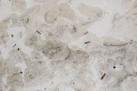Kaboompics - Natural Sand Texture on the Shore