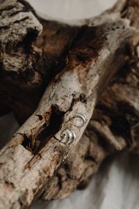 Kaboompics - Minimal Silver Huggie Earrings on a Weathered Branch