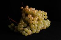 Kaboompics - Bunch of Green Grapes in Moody Autumn Still Life