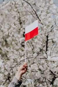 Kaboompics - Flag of Poland - Polska Flaga