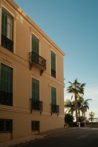 Kaboompics - Historic Malaga Street with Palm Trees