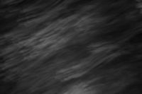 Kaboompics - Black and White Garden Texture With Horizontal Motion Blur