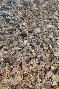 Kaboompics - Close-Up Pebble Beach Texture with White and Gray Rounded Stones