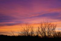 Kaboompics - Soft Pastel Sky at Sunset in Poland