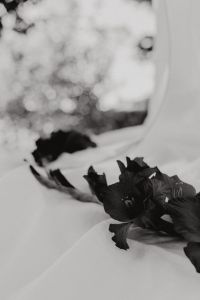 Kaboompics - Monochrome Black Flower Still Life on White Draped Fabric