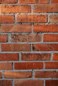 Various types of backgrounds and textures