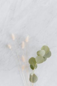 Dried flowers and eucalyptus on white marble