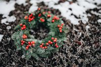 Kaboompics - Holly Berry Wreath Resting on Snowy Ground