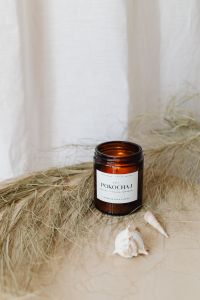Kaboompics - Amber Candle with Dried Smoke Bush Branches and Seashells
