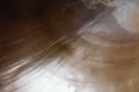 Kaboompics - Iridescent Shell Nacre Texture Background in Warm Neutral Tones