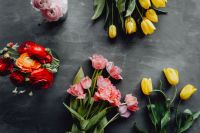 Kaboompics - Colorful Flower Flat Lay With Gray Copy Space
