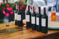 Kaboompics - Wine bottles lined up on a wooden table