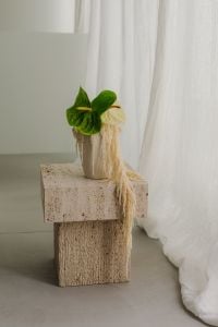 Kaboompics - Japandi Decor with Green Plant and Ceramic Vase by Sheer Curtains