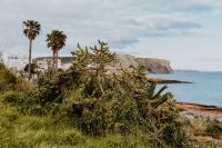 Kaboompics - Plants of Portugal
