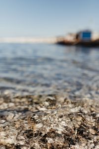 Kaboompics - Soft Focus Pebbly Shoreline with Blurred Coastal Background