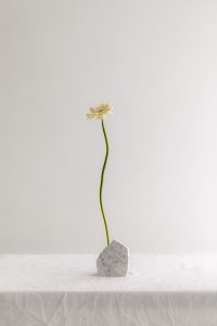 Kaboompics - Pantone 2026 Cloud Dancer: Minimal White Flower in a Stone Vase