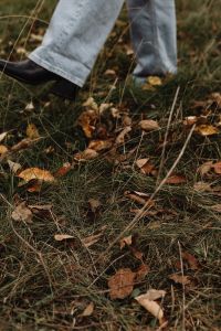 Kaboompics - Person Walking Across Leaf Covered Grass in Autumn