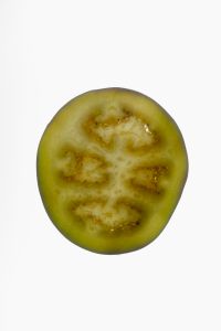 Kaboompics - Single Eggplant Slice on White Background