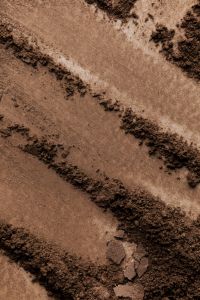 Kaboompics - Neutral Brown Makeup Powder Swatches with Soft and Coarse Textures, Macro Beauty Background