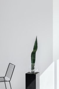 Kaboompics - Agave Leaf, Black Pedestal, And Wire Chair In A Minimalist Room