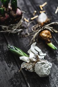 Kaboompics - Woman making a little ornamental seedling in a small jar