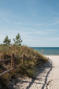 Kaboompics - Pine Trees and Sandy Dune Path Under Expansive Blue Sky, Baltic Coast