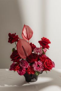 Kaboompics - Colorful Red and Pink Flower Bouquet in a Black Vase