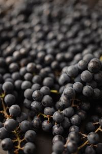 Kaboompics - Black Grapes in Dramatic Low Light
