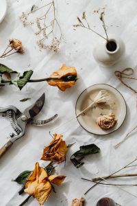Kaboompics - Dried flowers and small vases
