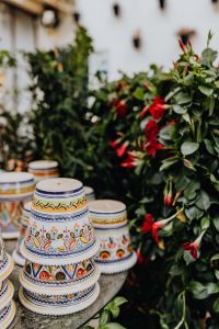 Kaboompics - Colorful Hand-Painted Ceramic Pots beside Greenery and Red Flowers
