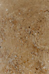 Kaboompics - Sand beach background with sea shells & pebbles - many round small stones