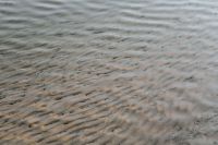 Kaboompics - Soft-Focus Gray Ripples with Dark Grains, Abstract Natural Texture Background
