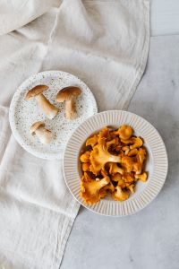 Chanterelle and Boletus Mushroom Still Life Collection