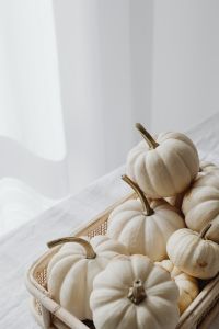 Kaboompics - White Mini Pumpkins in a Wicker Tray by a Window