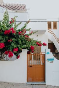 Kaboompics - Red Bougainvillea by a White Staircase and Courtyard Gate