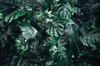 Kaboompics - Painted Fake Flowers