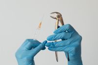 Kaboompics - Close-Up of Dental Syringe and Extraction Forceps